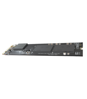 HS-SSD-E100NI-256G-2280