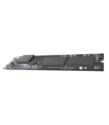 HS-SSD-E100NI-256G-2280