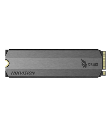 HS-SSD-E2000-256G