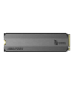 HS-SSD-E2000-256G