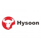 Hysoon Control de Presencia